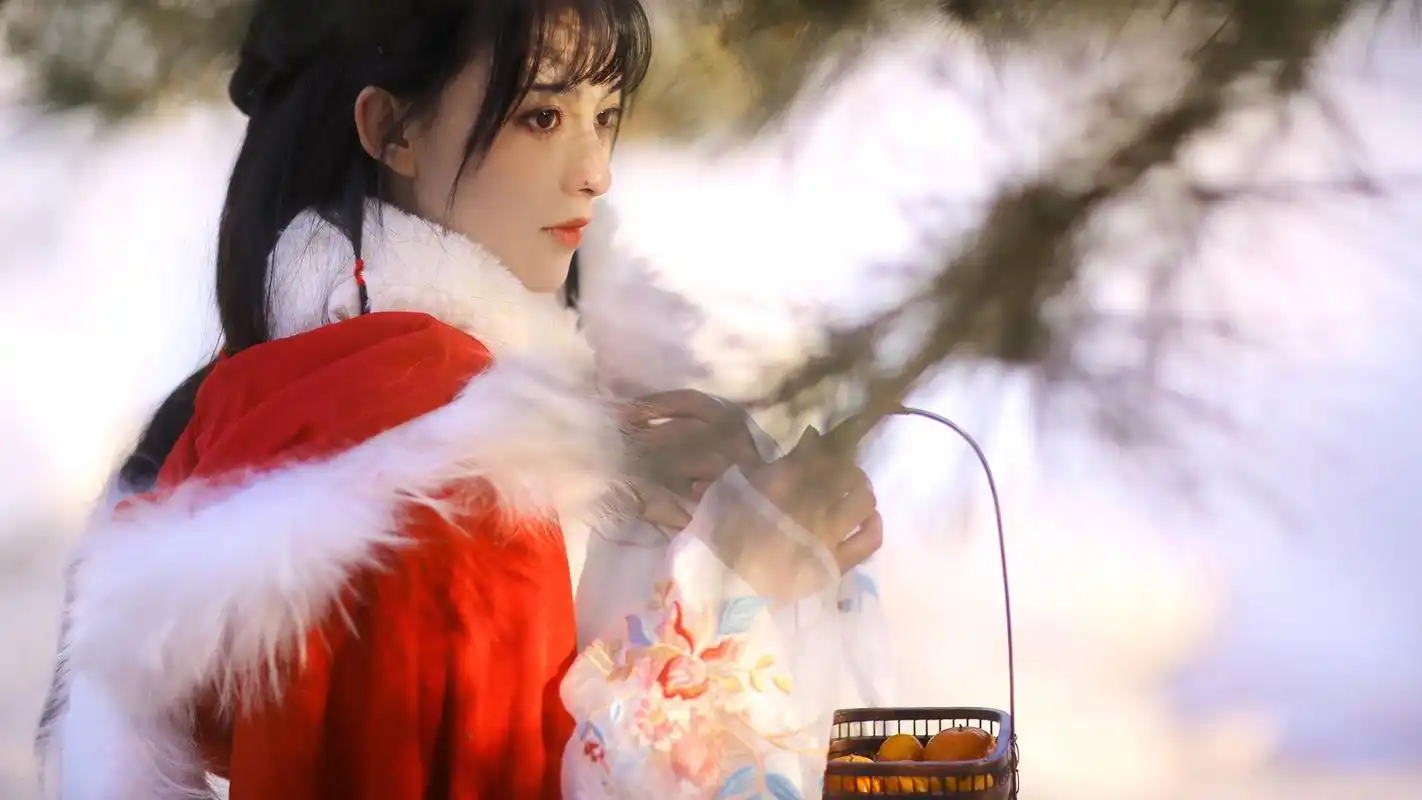 电脑美女静态壁纸>古装美女 清纯高清 桌面壁纸壁纸【1】壁纸图片下载