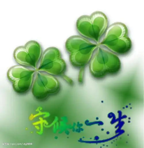 【轻描淡写】四叶草