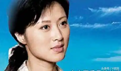 电视剧悠悠寸草心白珊刘丹等主演悠悠寸草心