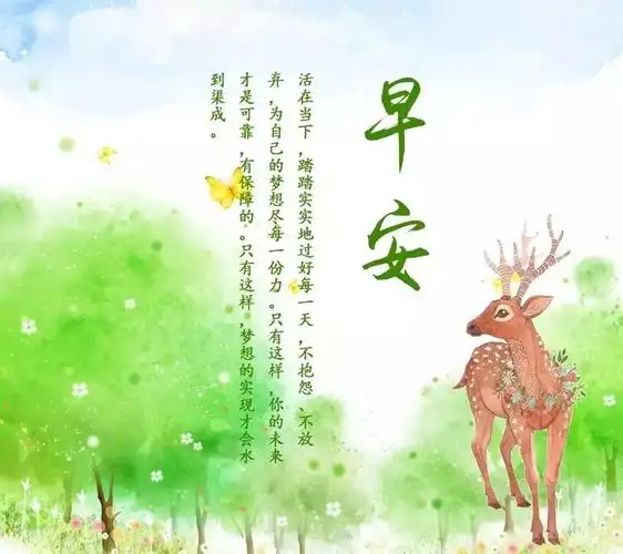 01.29」早安心语,正能量入心语录句子,优美语句图片带字