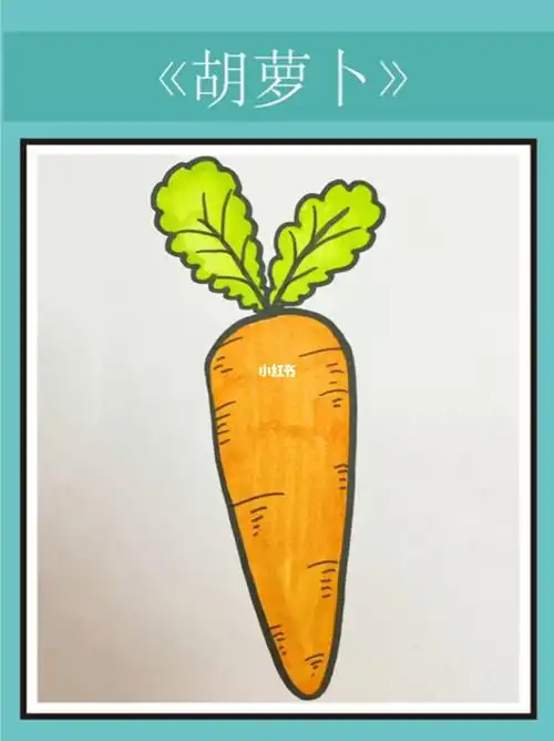 胡萝卜简笔画教程