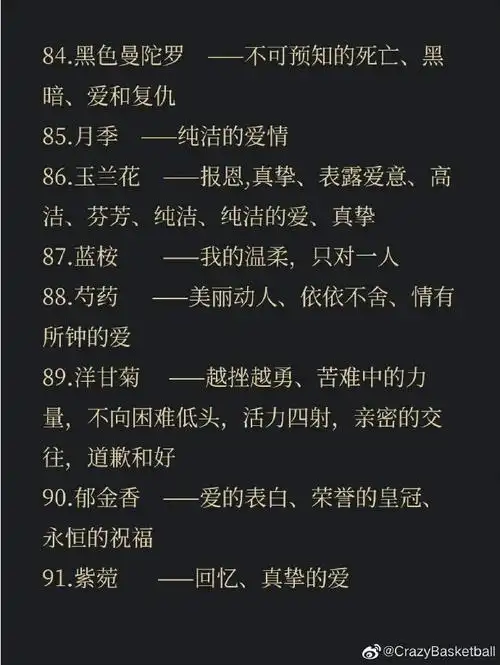 常见花语大全(100种常见花的花语)