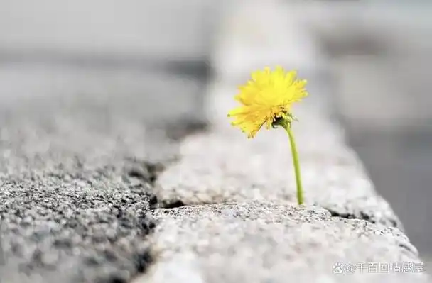 拥抱每一刻的温暖