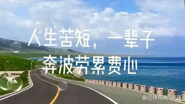 阳台上的每一朵花每一片叶子都记录着我们的欢笑和感动让我们更加珍惜