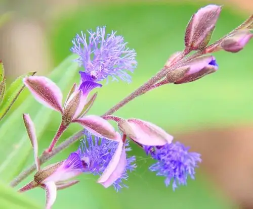 ta(柒彩莲)的城市空间,被关注过6211次