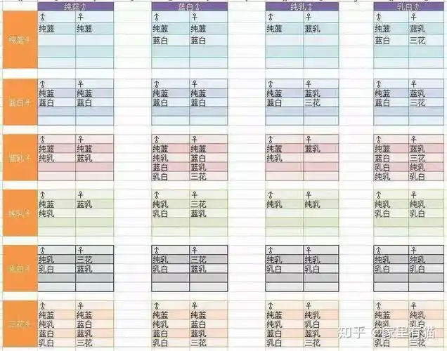 英短繁育配色表