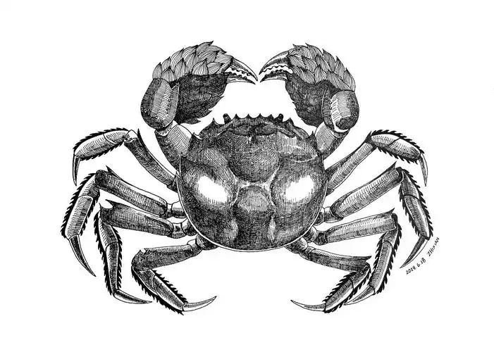 原创插画 | 大闸蟹手绘