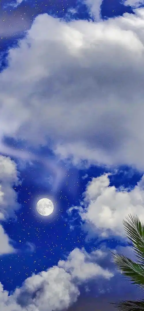 唯美夜色风景图片高清手机壁纸