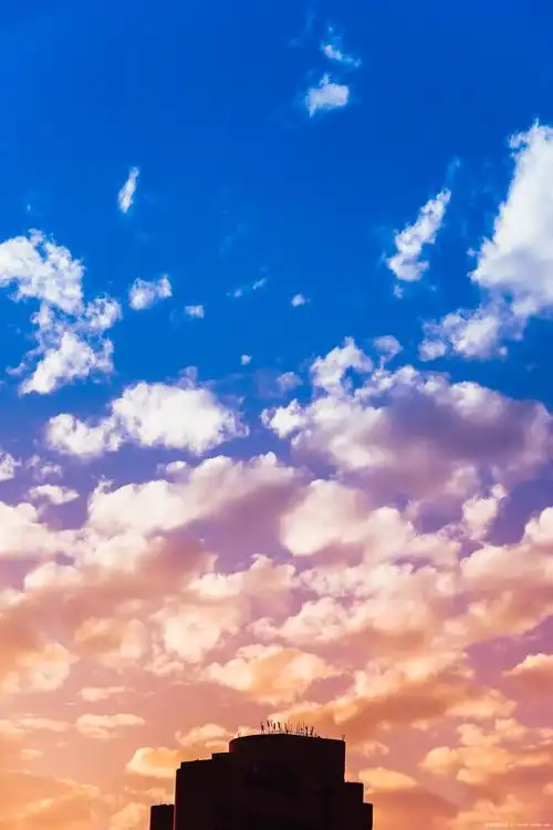 信望爱_流浪的熊大夫