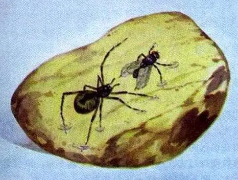 我们先来了解琥珀是怎样形成的吧