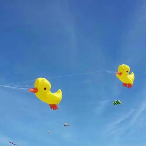 风筝厂软体充气小鸭风筝