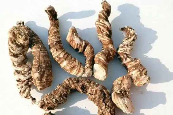 农村的天然抗癌王比车前草强百倍可惜野生的不多了