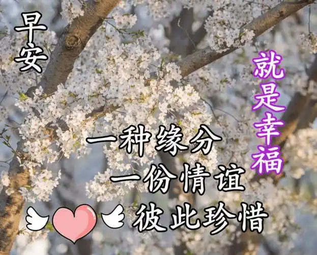 最好看的早安祝福朋友图片幸福美好的早上好问候图片