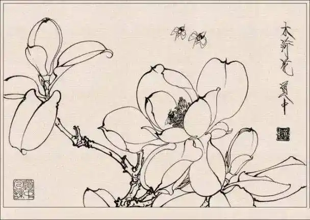 经典《白描花卉草虫集》王道中作品欣赏!