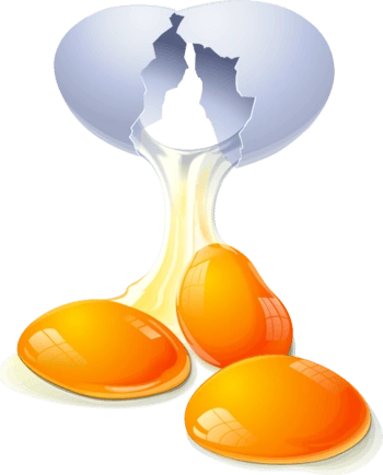 卡通精美鸡蛋蛋黄鸡蛋壳