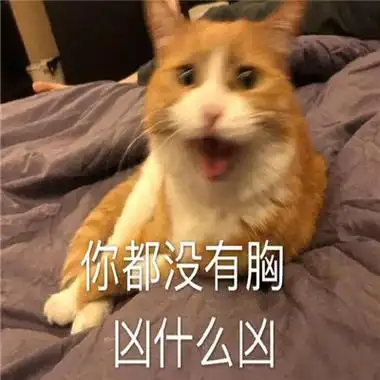 猫咪最可爱的搞笑又带有猥琐的表情包失去一个人最快的方式就是靠得太