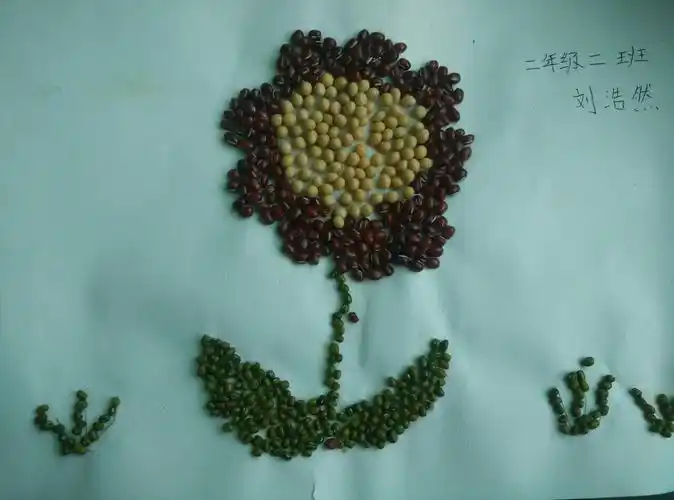 动手动脑 种子舞蹈韩桥小学二年级二班手工作品展