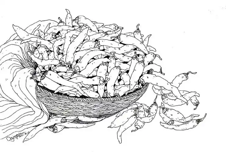 辣椒写生#线描  #钢笔画  #速写  #静物 #寻找小红书绘画大神  #艺朮