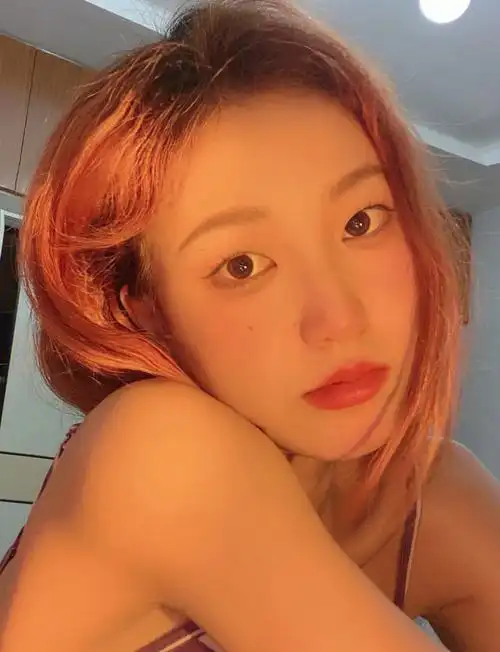 半藏森林拍照大法