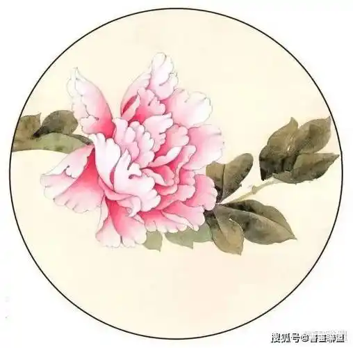 工笔画《国色》(牡丹)绘画步骤图示