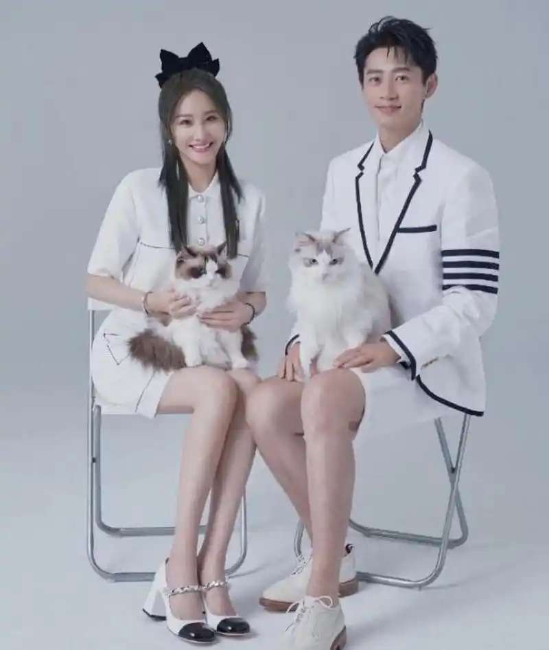 魏晨和于玮终成正果,婚礼现场洋溢着浪漫感动 年关将至,狗仔们为了冲