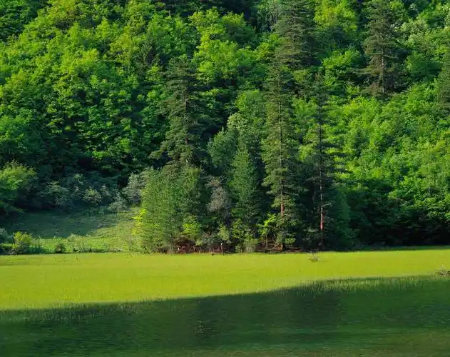 室外一些精彩风景贴图