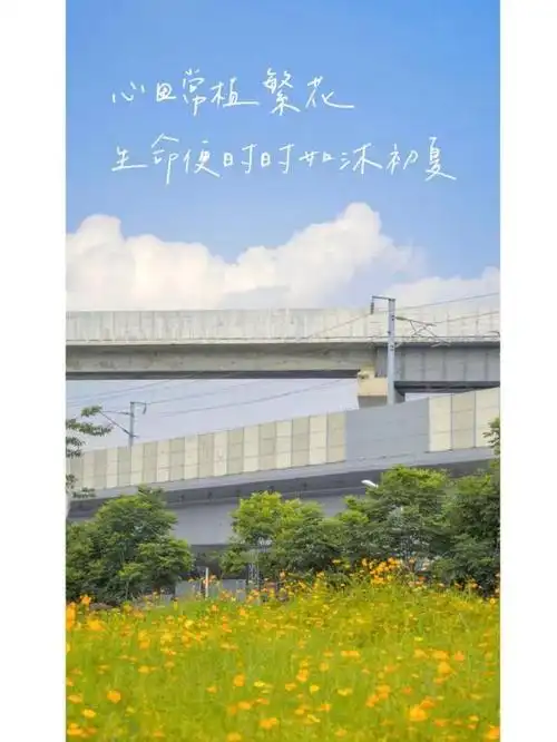 治愈心灵的精美句子,句句暖心,值得收藏