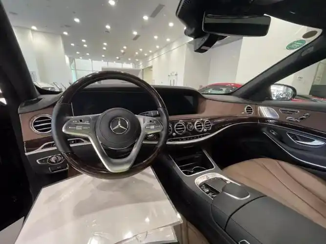 奔驰 奔驰s级 2020款 s 350 l 尊享型 臻藏版图片