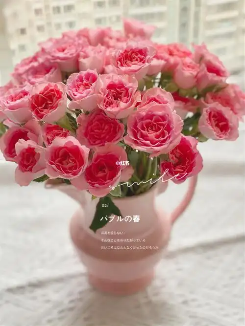 高雅爱人多头玫瑰