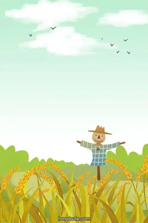 丰收的金色水稻田要如何画9张稻田简笔画大全