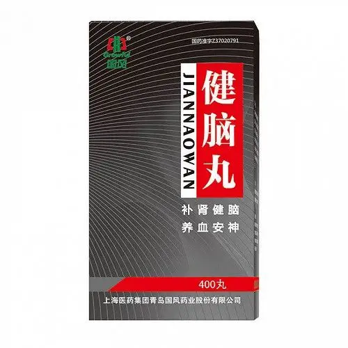 国风 健脑丸 400丸