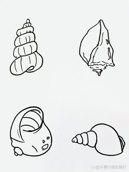 【简笔画】贝壳90 分享一组贝壳简笔画 大家还喜欢什么 是我还没有