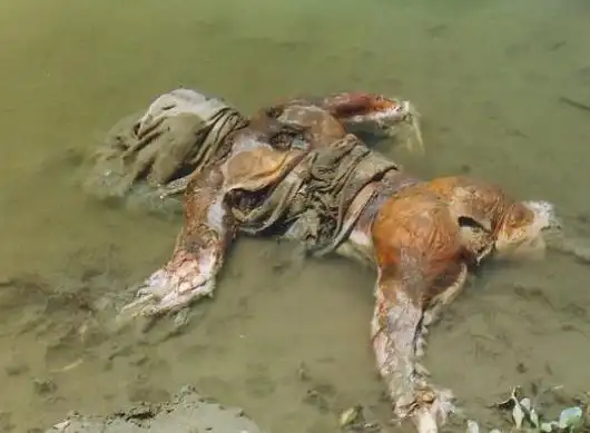 (资料图)原标题:湖北竹山水库惊现浮尸死者竟是一年半前溺水人湖北