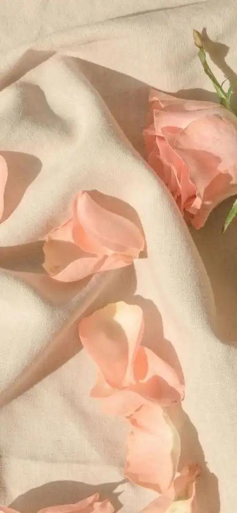 ins 白底壁纸丨是 答案_腾讯新闻