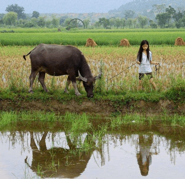 农村的孩子是这样长大的 这是农村孩子的童年记忆