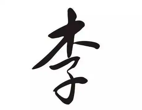 李姓溯源及取名技巧要点木子李为水生木之象