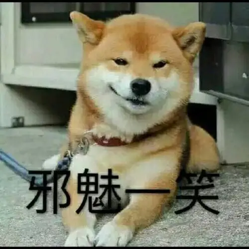 搞笑 表情包