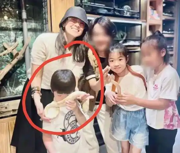 章子怡离婚后带娃心情好,首次晒儿子正脸,遗传她的美貌,女儿五官随了