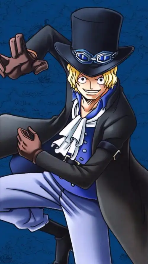 海贼王萨博的全身照,谁能发我几张,急着画漫画用,在线等,急!