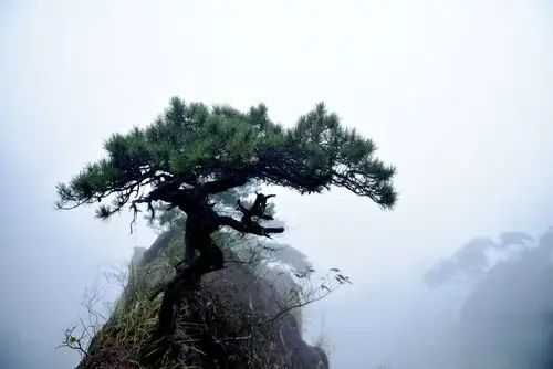 牛人牛队|中秋三清山之旅 - 美篇