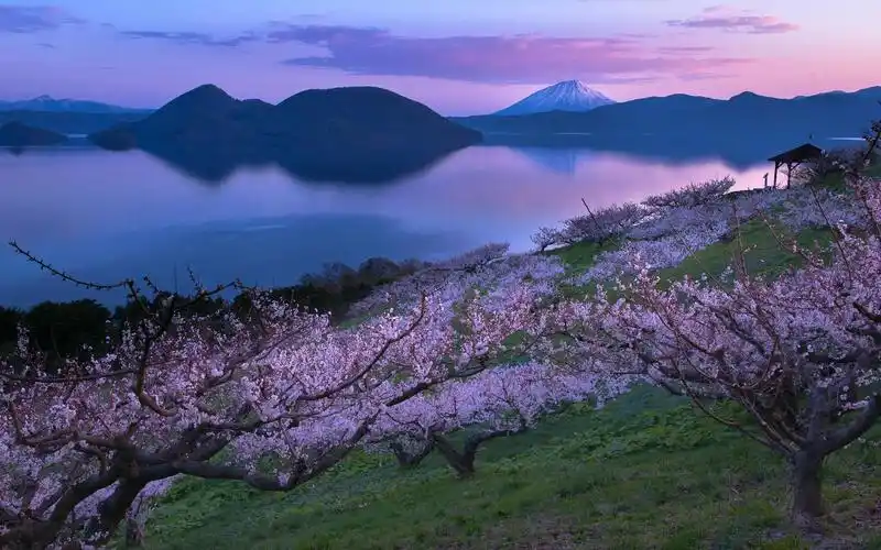 和湖畔的樱花树电脑壁纸下载 (1/ 1) 2015-07-24 15:17:01 壁纸尺寸是