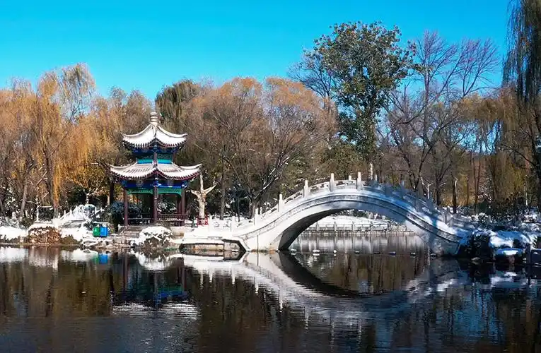 雪后的西沽公园.天津市红桥区委宣传部供图