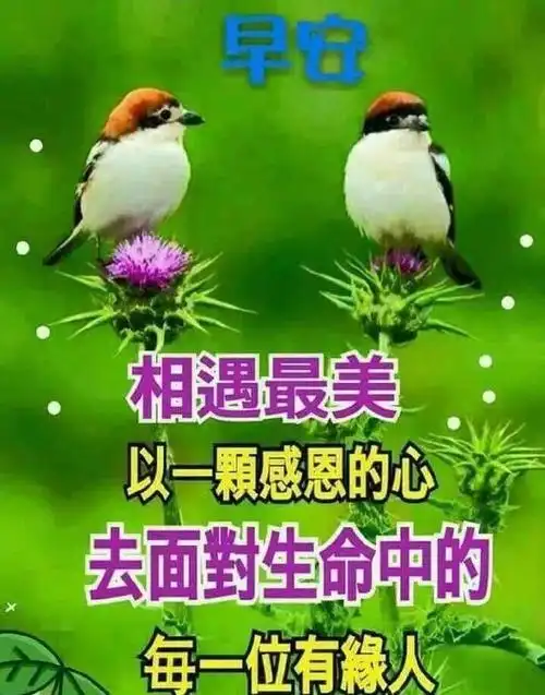 2020最漂亮早上好幸福问候句子每日问候早上好的动态表情包