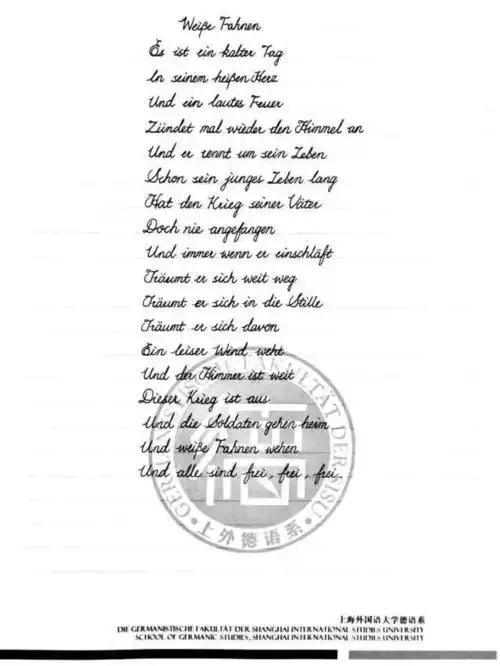 德语系 大一三班 王钰钦二等奖——王志强书写规范,字体流畅.