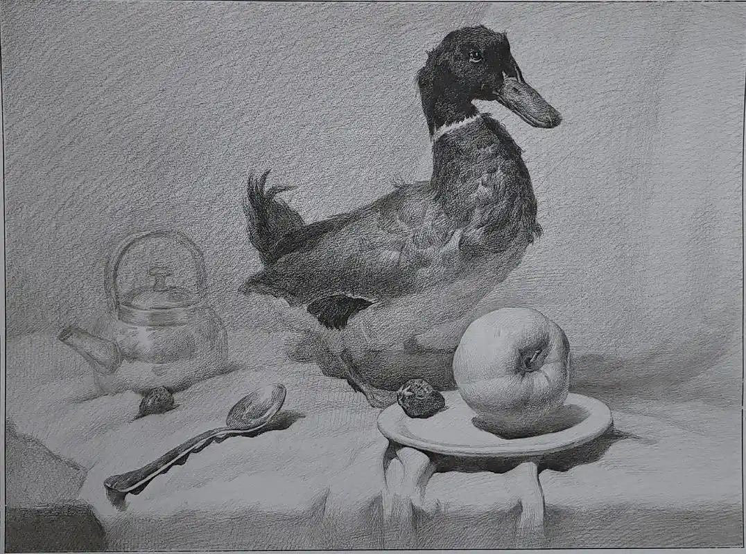 鸭子铅笔步骤图.久违的铅笔,还是那么丝滑#美术生 #素描 # - 抖音