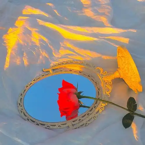 ins风背景图 收集人间温柔去见你_腾讯新闻