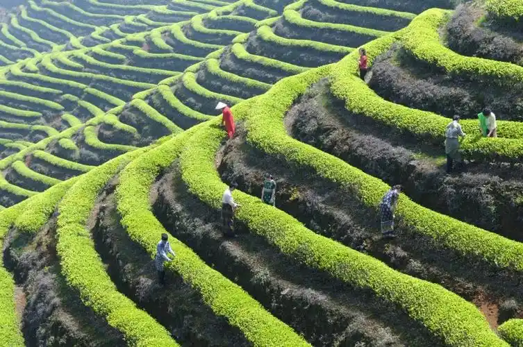 这几处霸屏抖音的网红景点,宛如海上世外桃源,一个比一个让人心动!
