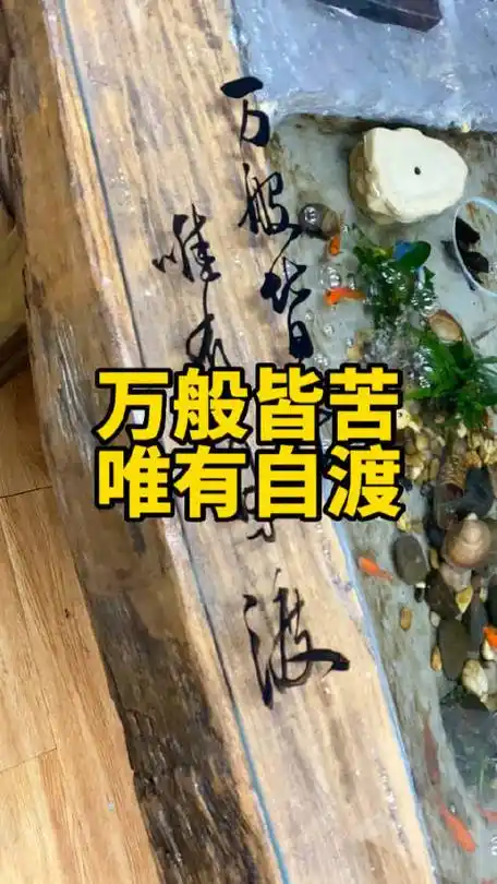 冷暖自知,学会自愈. 俗话说万般皆苦,唯有自渡