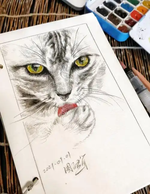 绘画今日铅笔水彩喵了个咪