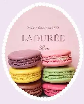 p>巴黎著名高级甜点拉杜丽 (laduree) 创建于1862年,近1个半世纪时间